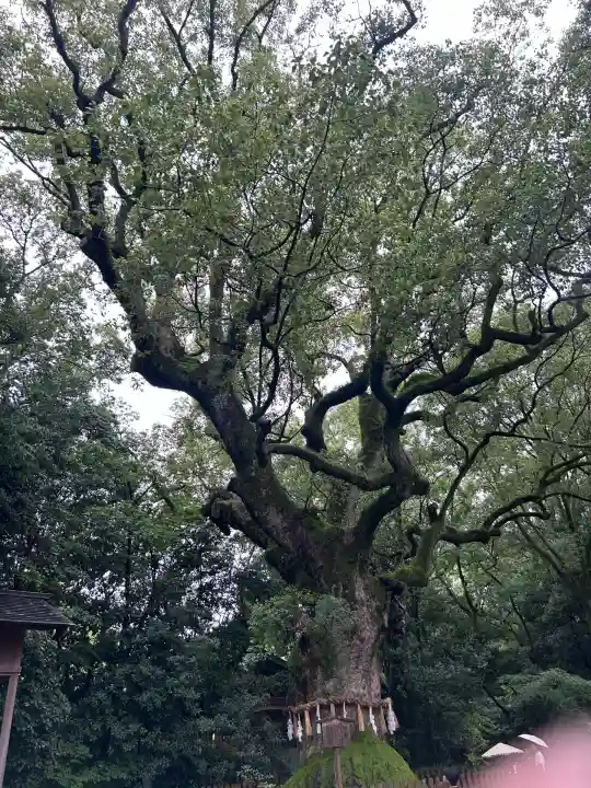 熱田神宮(愛知県)