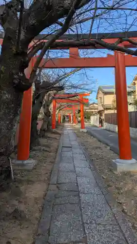 竹中稲荷神社（吉田神社末社）(京都府)