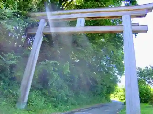 胎安神社の鳥居