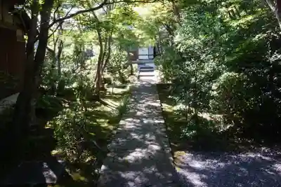 善法律寺(京都府)