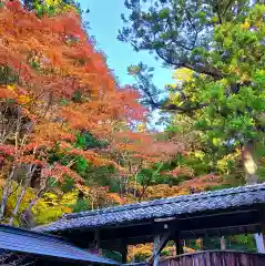 方廣寺の自然