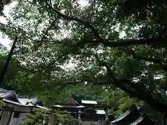 波太神社の景色