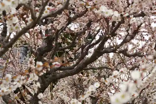 結城神社(三重県)