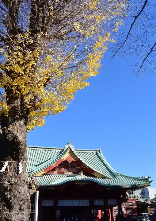 神田神社(神田明神)の本殿・本堂