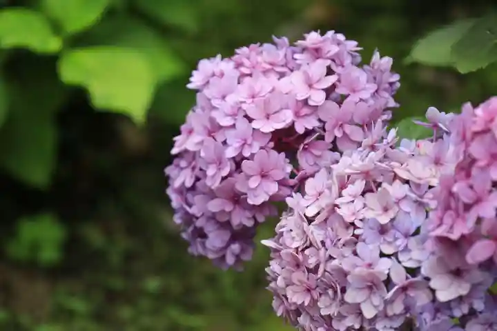 智積院(京都府)