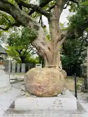 曩祖八幡宮(福岡県)