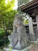 本乗寺の狛犬