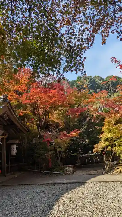 鍬山神社(京都府)