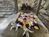 村雲御所瑞龍寺門跡の手水舎