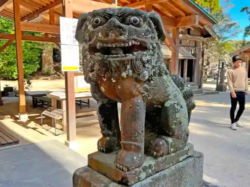 櫻井神社の狛犬