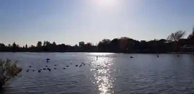 大下稲荷神社の周辺