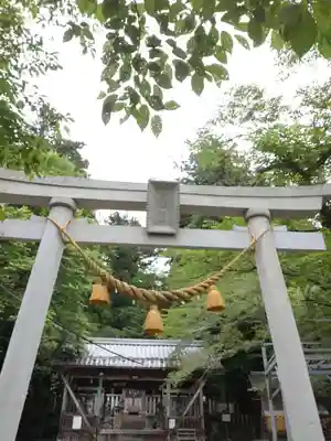 天鷹神社(岐阜県)