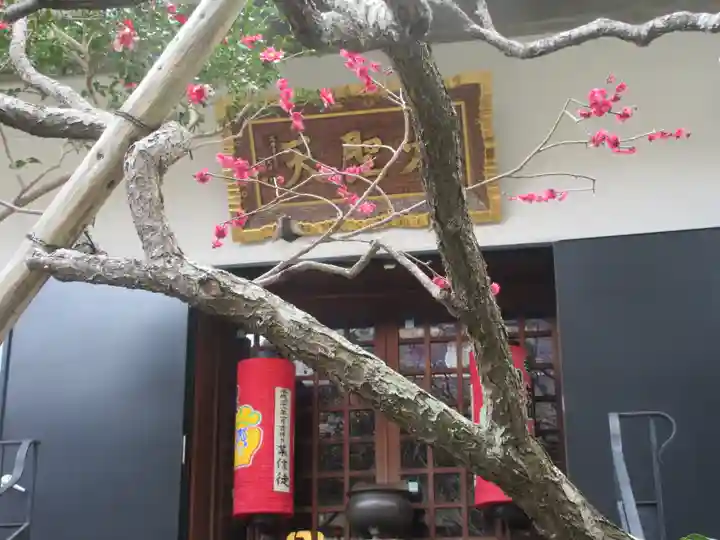 宝戒寺(神奈川県)