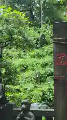 小野照崎神社の狛犬