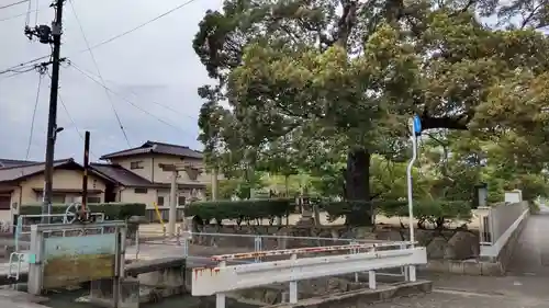 素盞鳴神社の建物その他