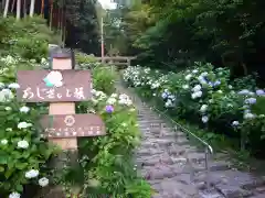 太平山神社の自然