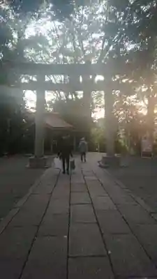 谷保天満宮の鳥居