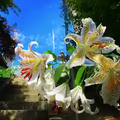 滑川神社 - 仕事と子どもの守り神の自然