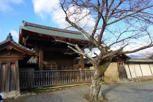 天龍寺の山門