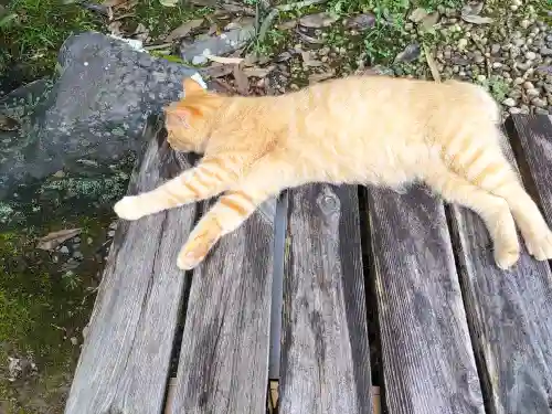 小松寺(千葉県)