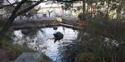 大井神社(京都府)