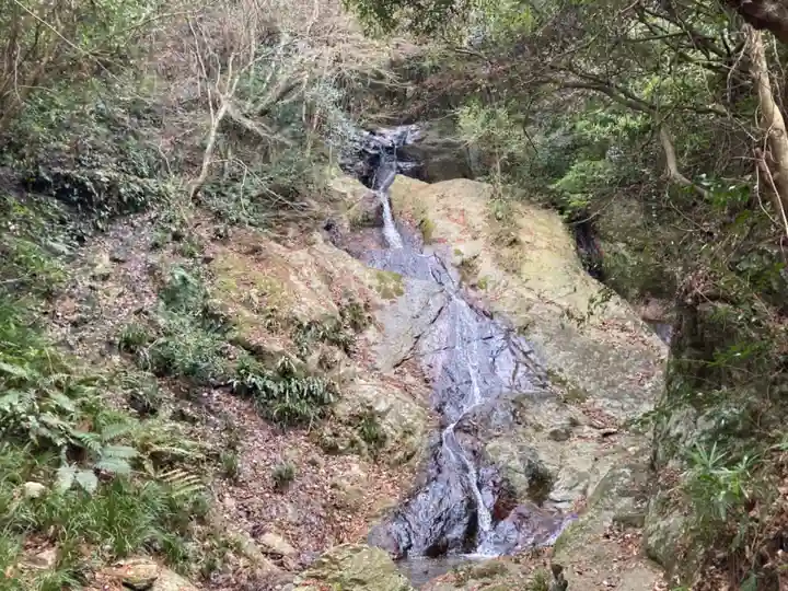 熊野神社の自然