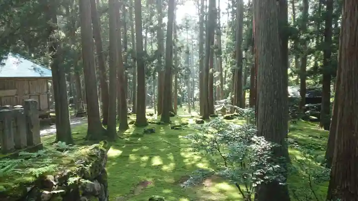 平泉寺白山神社の周辺