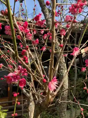 福田寺(京都府)
