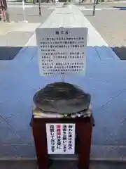 観音寺の建物その他