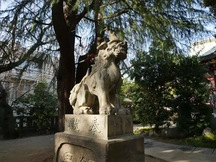 青山熊野神社の狛犬