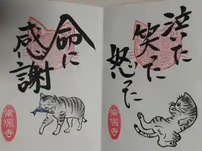 猫一言御朱印まとめプレオーダーがあり拝受。泣いた笑った怒った。命に感謝。