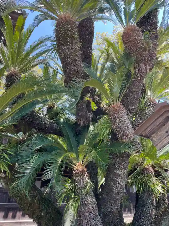 赤穂八幡宮(兵庫県)