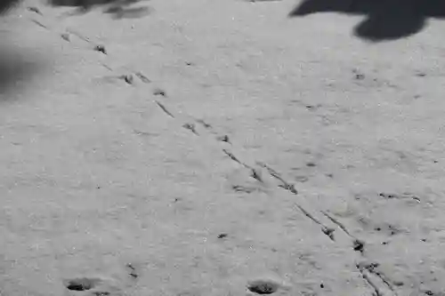 高司神社〜むすびの神の鎮まる社〜の自然