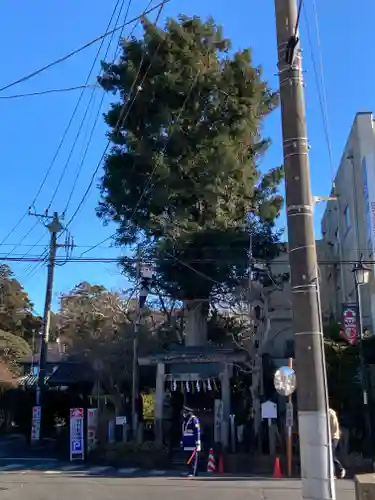 伊勢神社の自然
