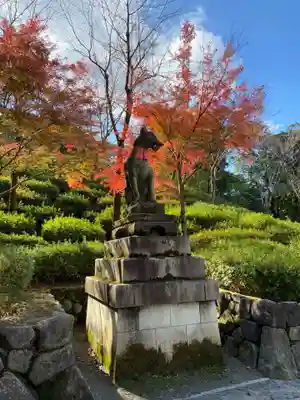 伏見稲荷大社の狛犬