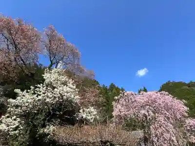 仏隆寺の{uncategorized: "未分類", other: "その他", undefined: "問題あり", building: "その他建物", grave: "お墓", sacred_gate: "鳥居", guardian: "狛犬", statue: "像", buddha: "仏像", history: "歴史", nature: "自然", garden: "庭園", animal: "動物", pagoda: "塔", temizu: "手水舎", mountain_gate: "山門・神門", sanctuary: "本殿・本堂", subordinate: "末社・摂社", art: "芸術", scenery: "景色", jizo: "地蔵", ema: "絵馬", goshuin: "御朱印", omikuji: "おみくじ", items: "授与品その他", amulet: "お守り", goshuincho: "御朱印帳", eats: "食事", festival: "お祭り", votive_dance: "神楽", shichigosan: "七五三参", wedding: "結婚式", experience: "体験その他", initially: "初詣", around: "周辺", anti_infection: "感染症対策"}