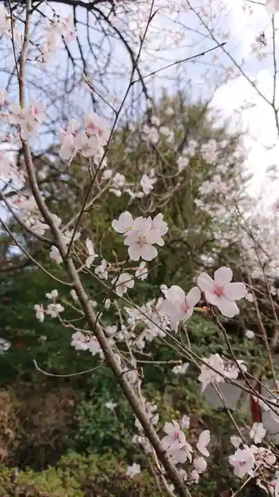冠稲荷神社の自然
