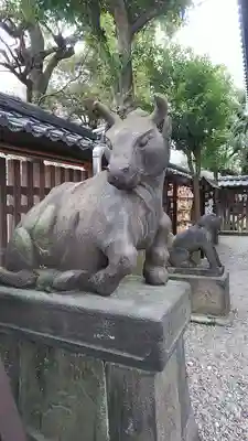牛嶋神社の狛犬