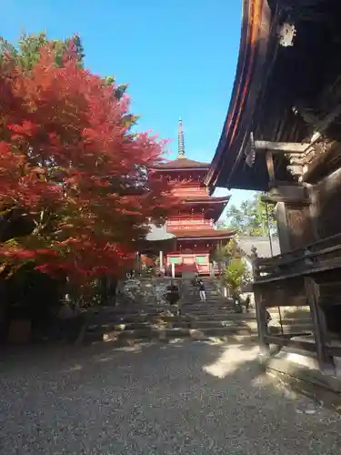 柏原八幡宮の塔