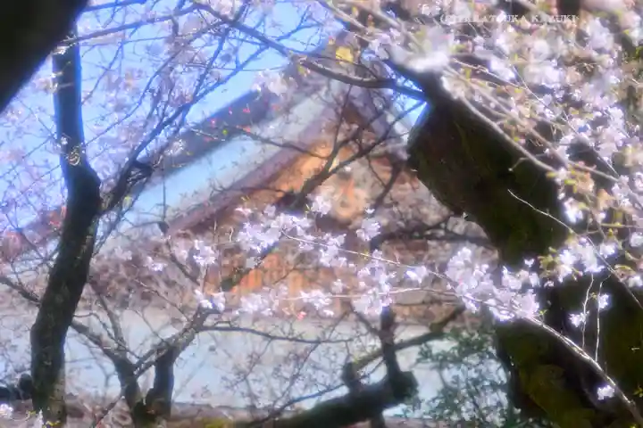 靖國神社(東京都)