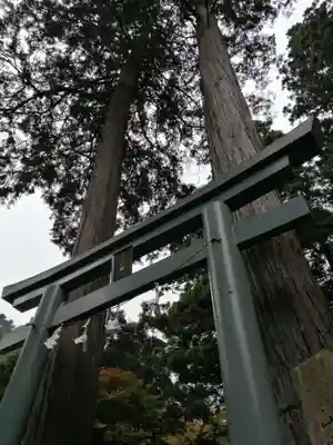 九頭龍神社の鳥居