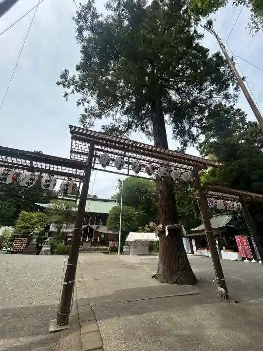比々多神社の{uncategorized: "未分類", other: "その他", undefined: "問題あり", building: "その他建物", grave: "お墓", sacred_gate: "鳥居", guardian: "狛犬", statue: "像", buddha: "仏像", history: "歴史", nature: "自然", garden: "庭園", animal: "動物", pagoda: "塔", temizu: "手水舎", mountain_gate: "山門・神門", sanctuary: "本殿・本堂", subordinate: "末社・摂社", art: "芸術", scenery: "景色", jizo: "地蔵", ema: "絵馬", goshuin: "御朱印", omikuji: "おみくじ", items: "授与品その他", amulet: "お守り", goshuincho: "御朱印帳", eats: "食事", festival: "お祭り", votive_dance: "神楽", shichigosan: "七五三参", wedding: "結婚式", experience: "体験その他", initially: "初詣", around: "周辺", anti_infection: "感染症対策"}