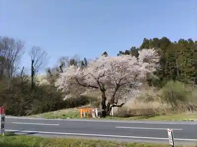 宇賀神さま(福島県)