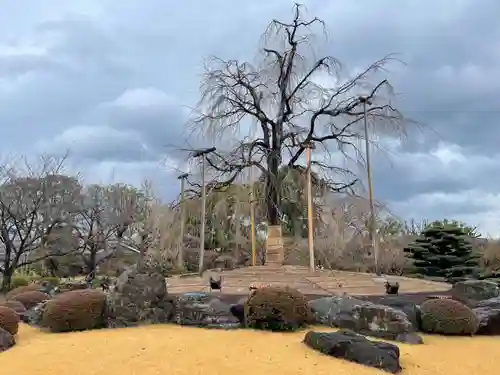 東寺（教王護国寺）(京都府)
