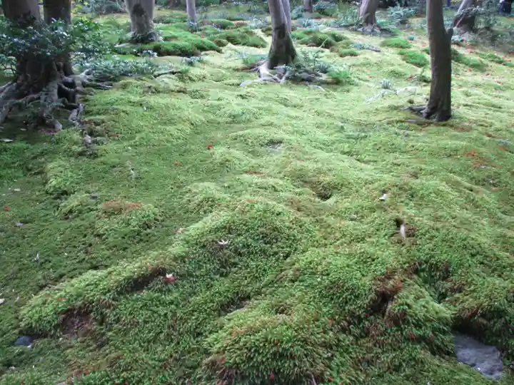 祇王寺(京都府)