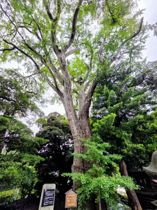 五霊神社(神奈川県)