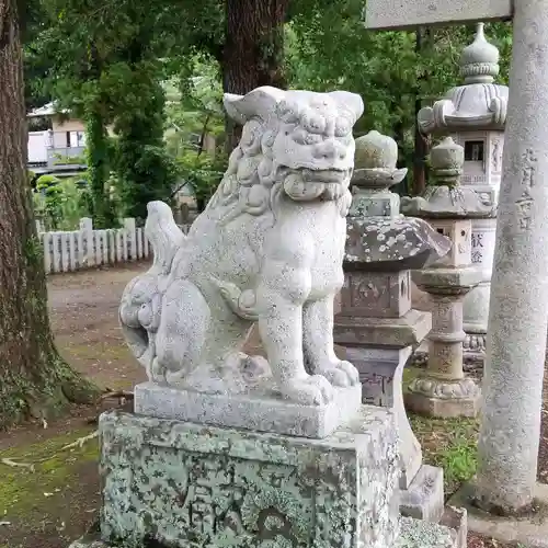 素鵞熊野神社の狛犬