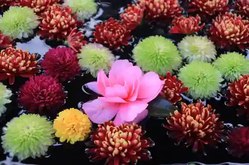 大鏑神社の手水舎
