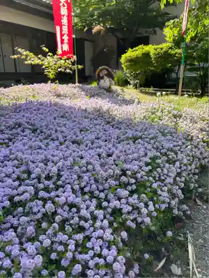 能満寺(神奈川県)