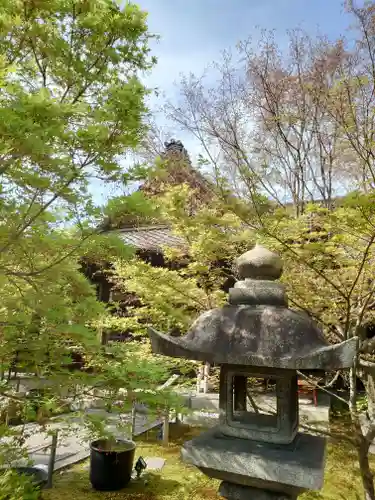 勝林寺(京都府)